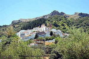 634- Algatocin